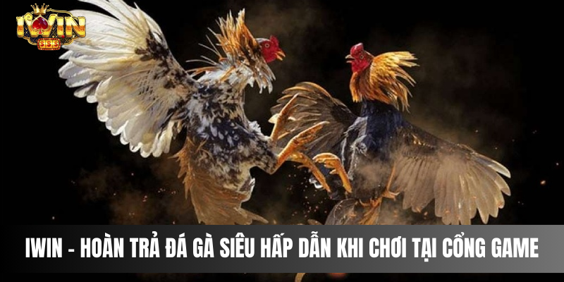 IWIN - Hoàn trả đá gà siêu hấp dẫn khi chơi tại cổng game