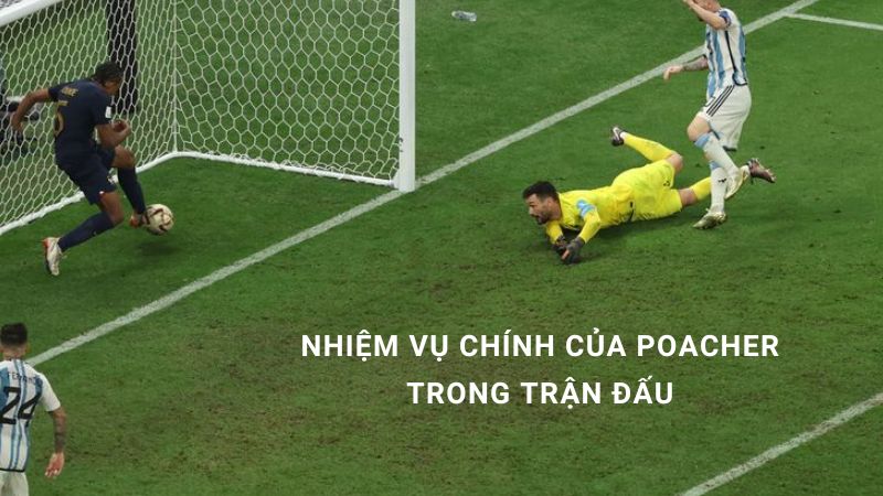 vị trí poacher là gì